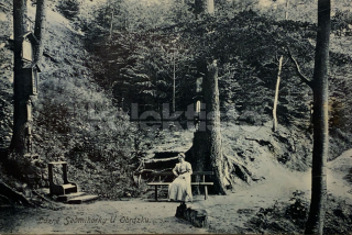 340 Kč SM Pohlednice Sedmihorky, CZE123162