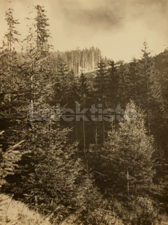 60 Kč SM Foto KRKONOŠE, CZE123261