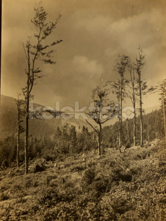 60 Kč SM Foto KRKONOŠE, CZE123263