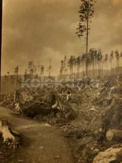 60 Kč SM Foto KRKONOŠE, CZE123265