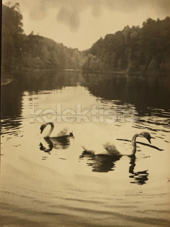 60 Kč SM Foto Český Ráj, CZE123287