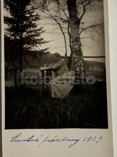100 Kč TA Pohlednice Tábor, CZE124381