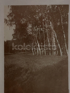 100 Kč TA Pohlednice Tábor, CZE124394