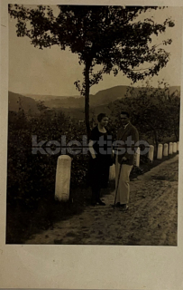 100 Kč TA Pohlednice Tábor, CZE124401
