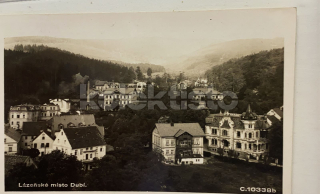 260 Kč TP Pohlednice Dubí, CZE124804