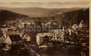 260 Kč TP Pohlednice Dubí, CZE124805