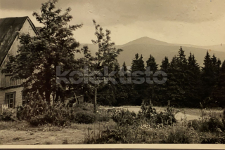 280 Kč TU Pohlednice Vlčice, CZE125205