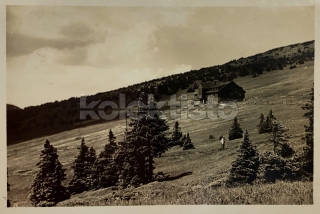 280 Kč TU Pohlednice Špindlerův Mlýn, CZE125208
