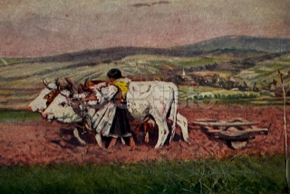 40 Kč UH Pohlednice NEURČENO KROJE, ÚPRKA, KROJE. ÚPRKA (, CZE125729