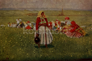 40 Kč UH Pohlednice NEURČENO KROJE, ÚPRKA, KROJE. ÚPRKA (, CZE125732