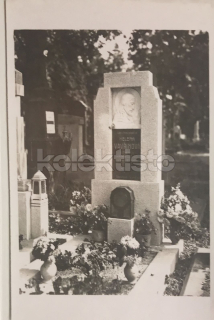 120 Kč UO Pohlednice Němčice, CZE126154