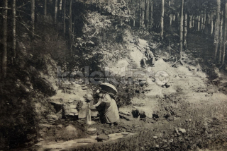 460 Kč UO Pohlednice Česká Třebová, CZE126238