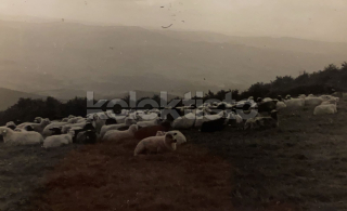 120 Kč VS Pohlednice Radhošť, CZE126559