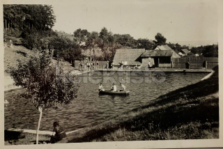 380 Kč VY Pohlednice Olšany, CZE126794