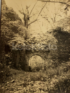 120 Kč ZN Foto Znojemsko, CZE127079