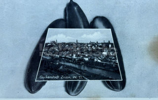 220 Kč ZN Pohlednice Znojmo, CZE127110