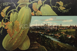 360 Kč ZN Pohlednice Znojmo, CZE127332