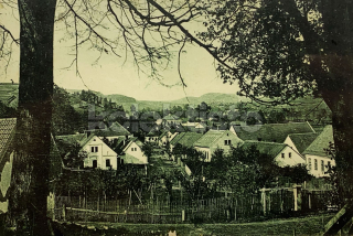 420 Kč ZR Pohlednice Borovnice, CZE127455