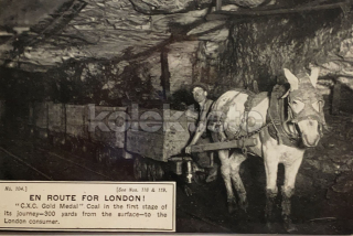 1150 Kč GEN Pohlednice HORNÍCI, GEN137814