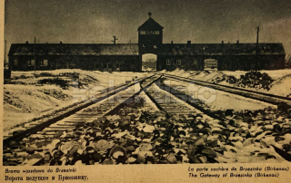 550 Kč GEN Pohlednice KONCENTRAČNÍ TÁBORY, GEN137940