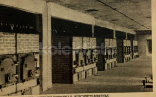 550 Kč GEN Pohlednice KONCENTRAČNÍ TÁBORY, GEN137945