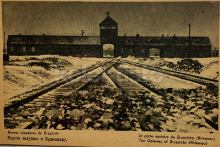 550 Kč GEN Pohlednice KONCENTRAČNÍ TÁBORY, GEN137949