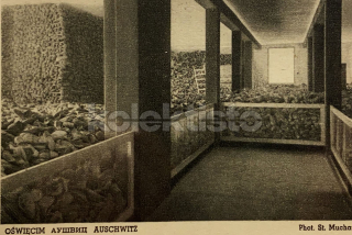 550 Kč GEN Pohlednice KONCENTRAČNÍ TÁBORY, GEN137950