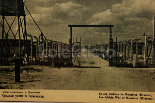 550 Kč GEN Pohlednice KONCENTRAČNÍ TÁBORY, GEN137951
