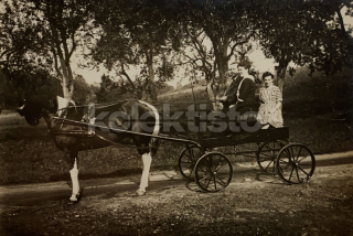 100 Kč GEN Pohlednice KOČÍ, GEN137967