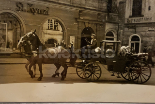 150 Kč GEN Pohlednice KOČÍ, GEN137970