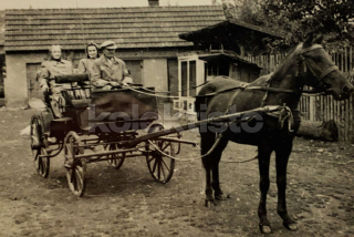 150 Kč GEN Pohlednice KOČÍ, GEN137971