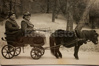 150 Kč GEN Pohlednice KOČÍ, GEN137972