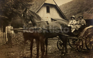 150 Kč GEN Pohlednice KOČÍ, GEN137973