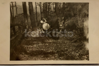 200 Kč GEN Pohlednice KOČÍ, GEN137977