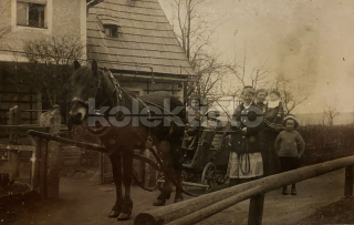 200 Kč GEN Pohlednice KOČÍ, GEN137981