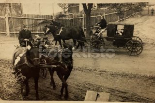 200 Kč GEN Pohlednice KOČÍ, GEN137982