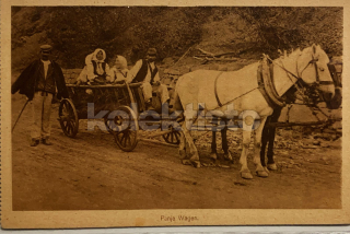 200 Kč GEN Pohlednice KOČÍ, GEN137984