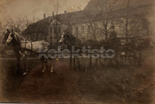 200 Kč GEN Pohlednice KOČÍ, GEN137986