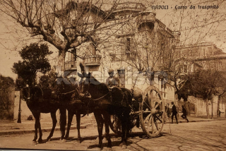 250 Kč GEN Pohlednice KOČÍ, GEN137994
