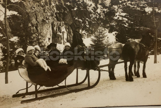 300 Kč GEN Pohlednice KOČÍ, GEN137996