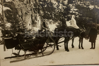 300 Kč GEN Pohlednice KOČÍ, GEN137997