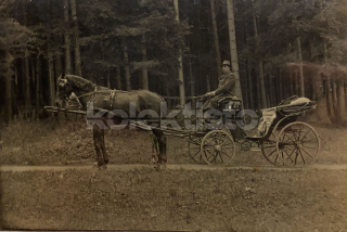 300 Kč GEN Pohlednice KOČÍ, GEN137999