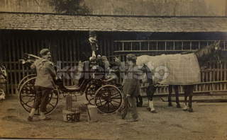 300 Kč GEN Pohlednice KOČÍ, GEN138002