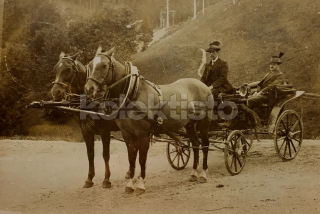 300 Kč GEN Pohlednice KOČÍ, GEN138004