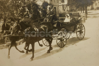 300 Kč GEN Pohlednice KOČÍ, GEN138009