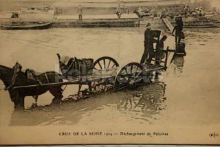 300 Kč GEN Pohlednice KOČÍ, GEN138014