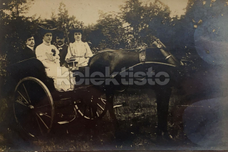 300 Kč GEN Pohlednice KOČÍ, GEN138017