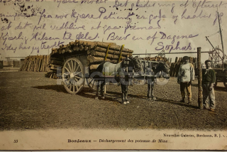 300 Kč GEN Pohlednice KOČÍ, GEN138018