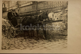 300 Kč GEN Pohlednice KOČÍ, GEN138019