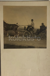 300 Kč GEN Pohlednice KOČÍ, GEN138020